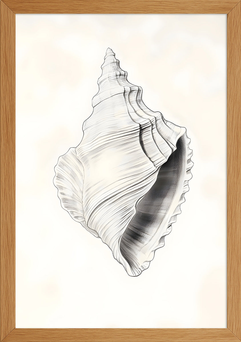 Deniz Salyangozu Posteri-2