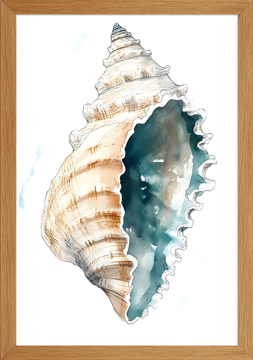 Deniz Salyangozu Posteri-3
