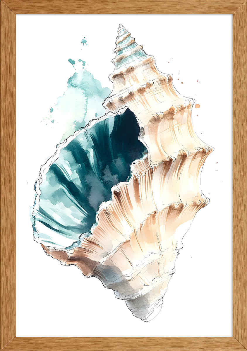 Deniz Salyangozu Posteri-5