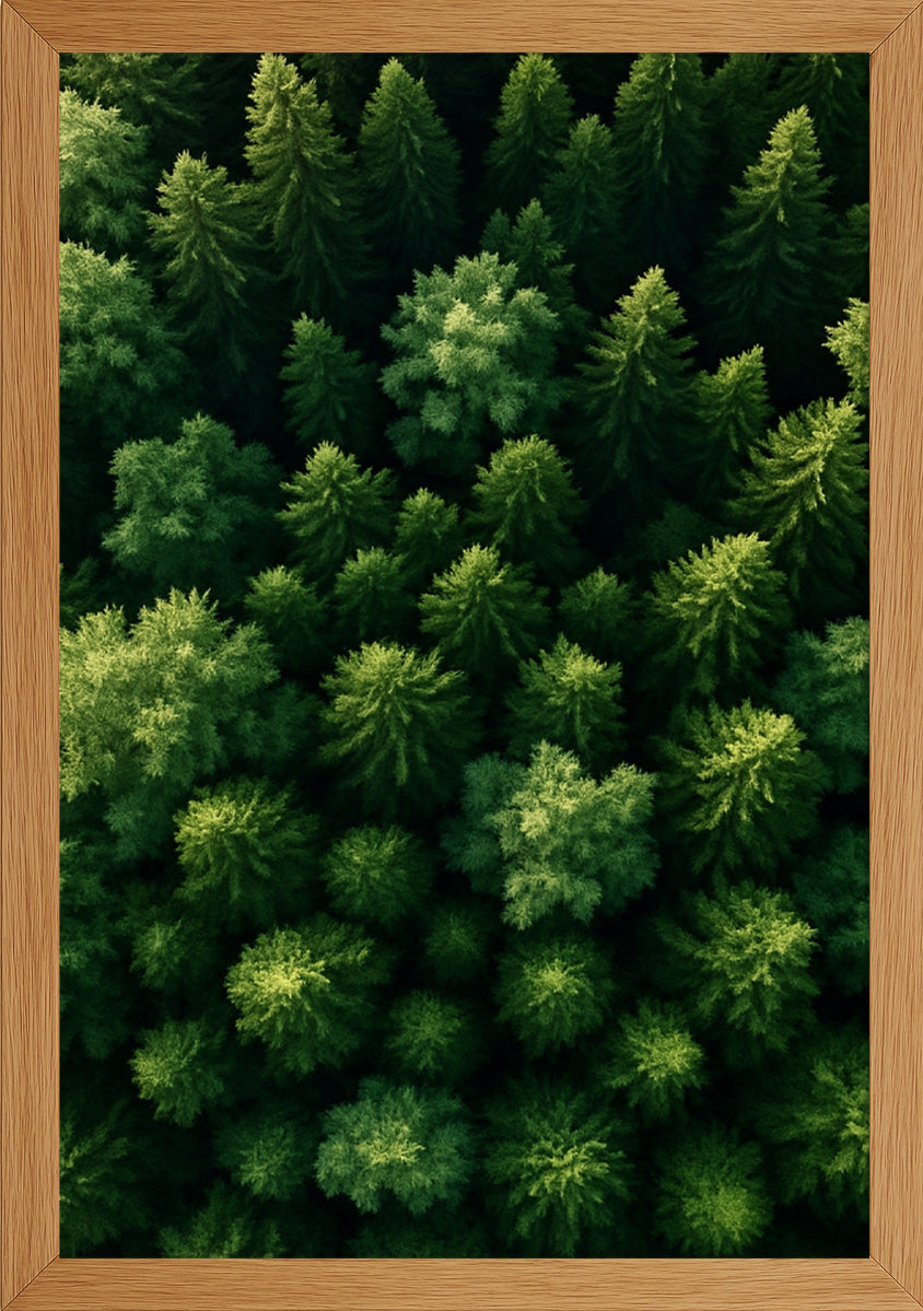 Yeşil Orman Posteri