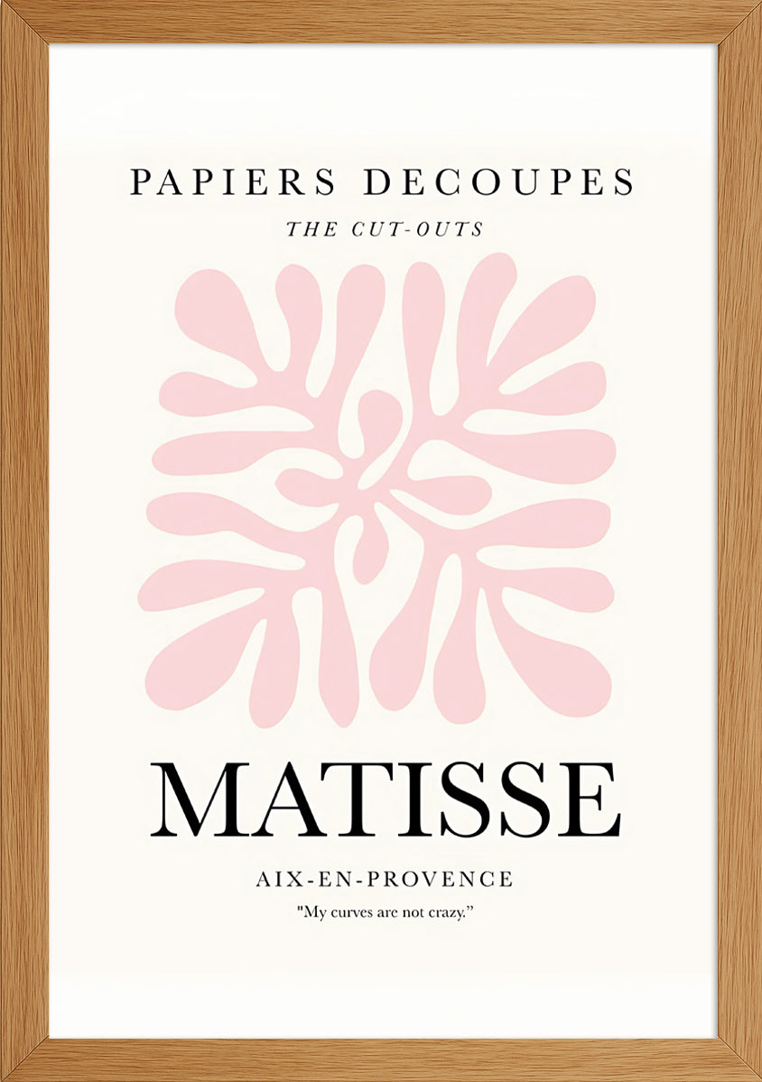 Matisse Papiers Decoupes Posteri-1