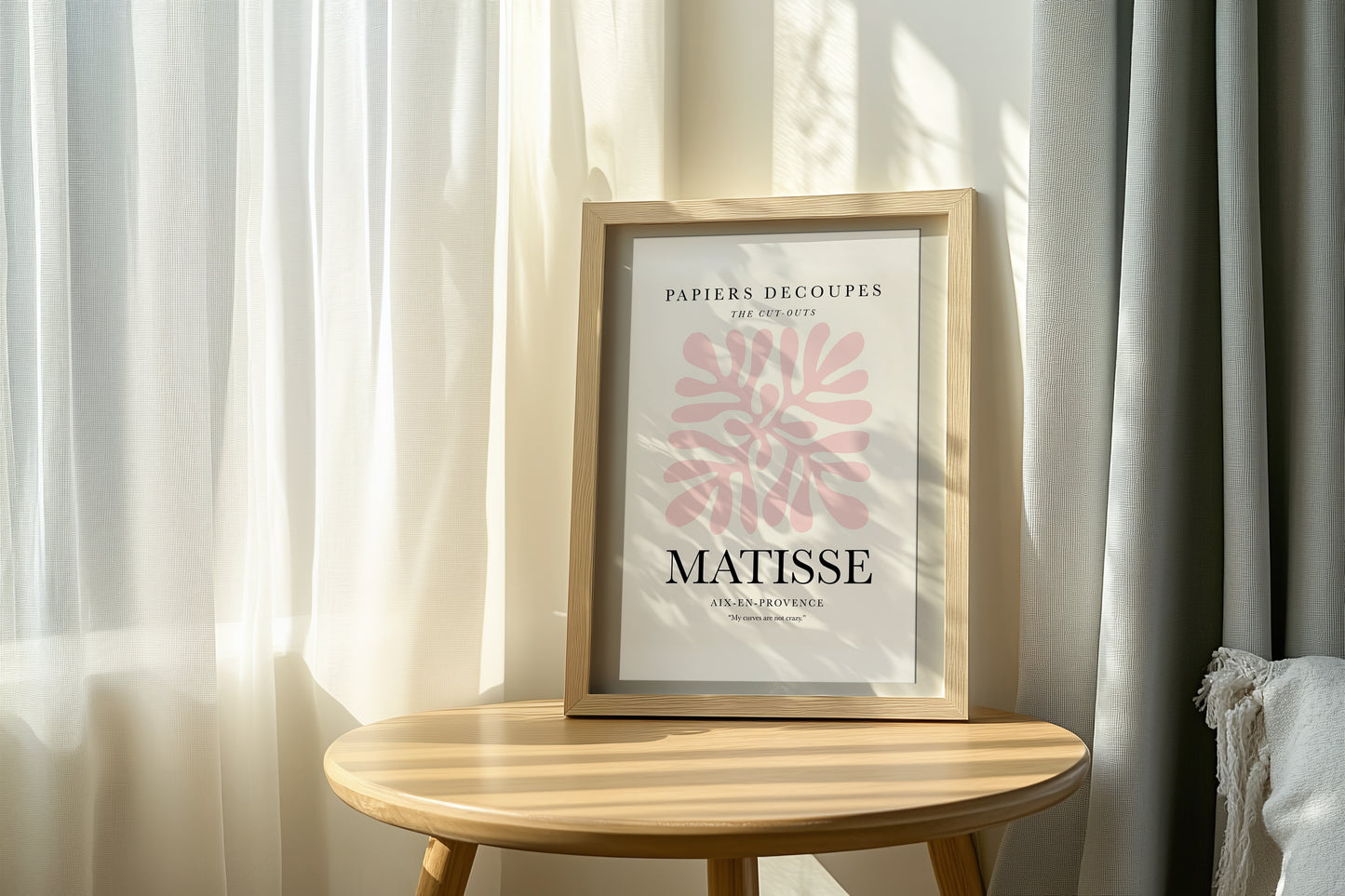 Matisse Papiers Decoupes Posteri-1