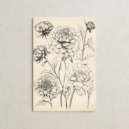 Dahlia Çiçeği Çizim Posteri