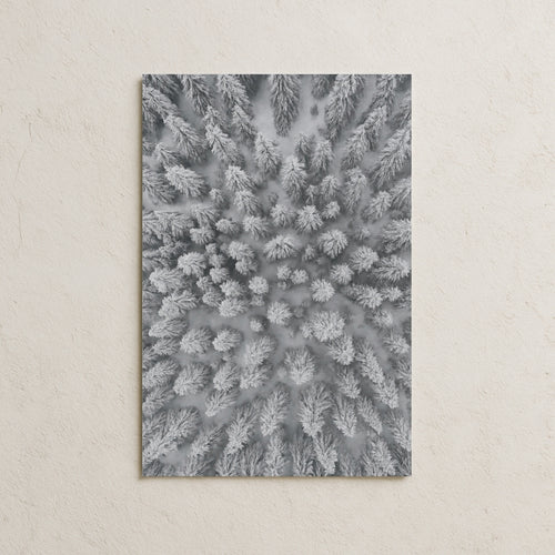 Karlı Orman Posteri