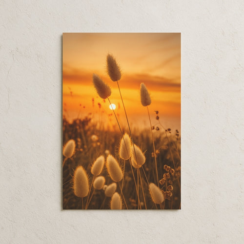 Gün Batımında Tavşan Kuyruğu Posteri