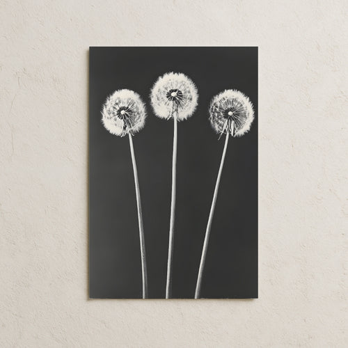 Koyu Fonda Karahindiba Posteri