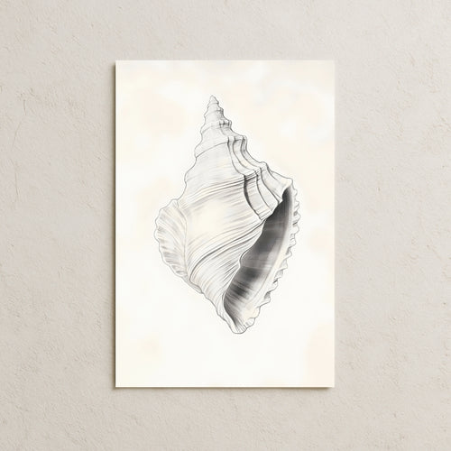 Deniz Salyangozu Posteri-2