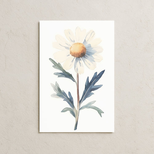 Sulu Boya Papatya Posteri