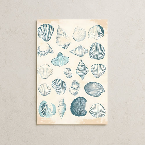 Kabuklu Deniz Canlıları Posteri-2