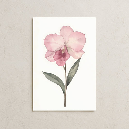 Sulu Boya Pembe Orkide Posteri