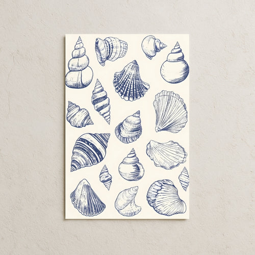 Kabuklu Deniz Canlıları Posteri-1