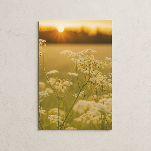 Beyaz Kır Çiçekleri Posteri