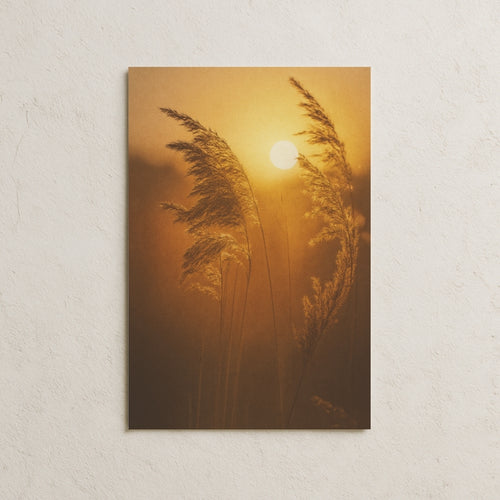 Gün Batımındaki Başaklar Posteri