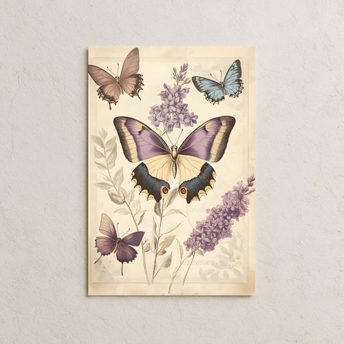 Renkli Kelebekler Posteri