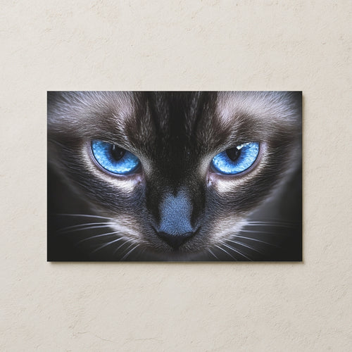 Mavi Gözlü Kedi Posteri