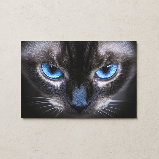 Mavi Gözlü Kedi Posteri