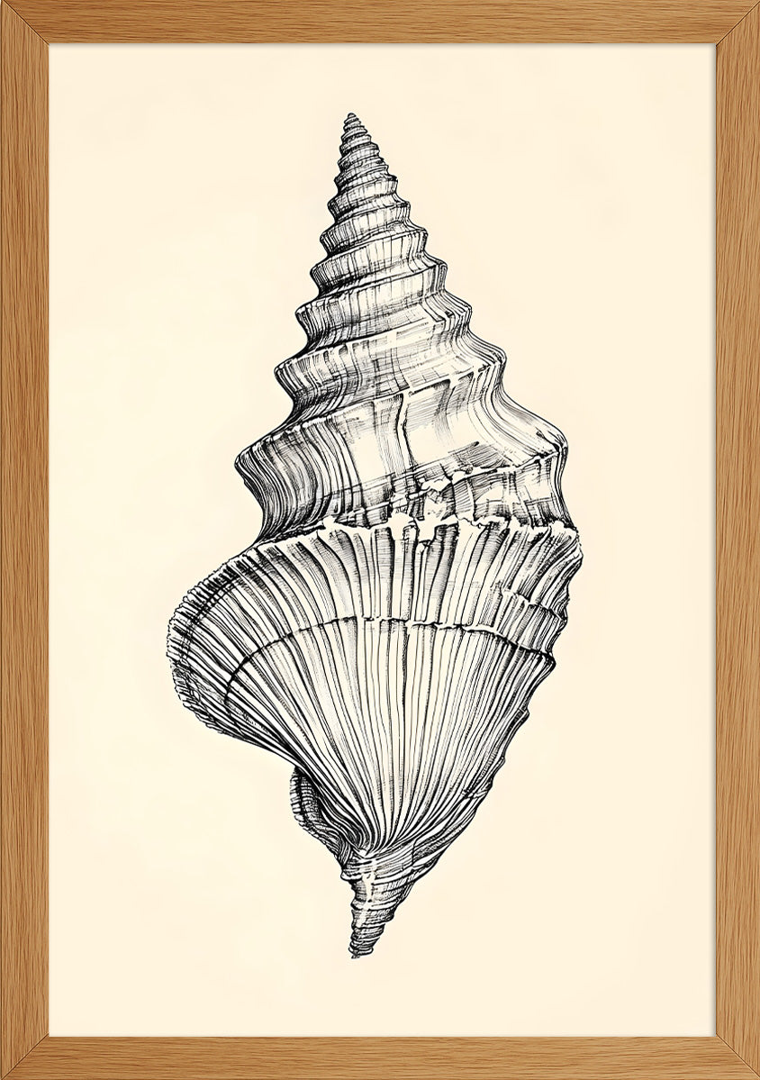 Deniz Salyangozu Posteri-1