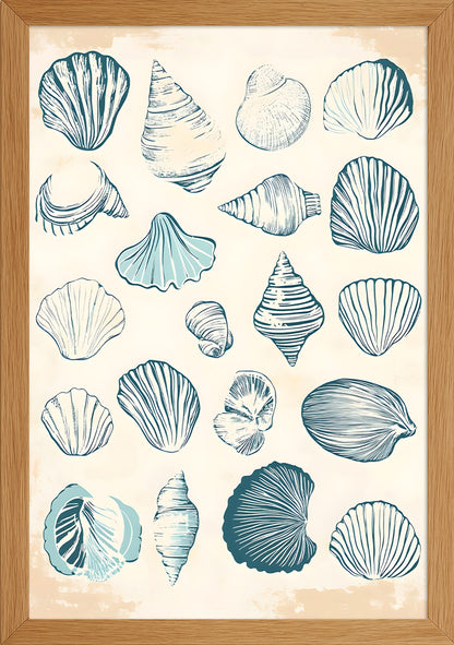 Kabuklu Deniz Canlıları Posteri-2