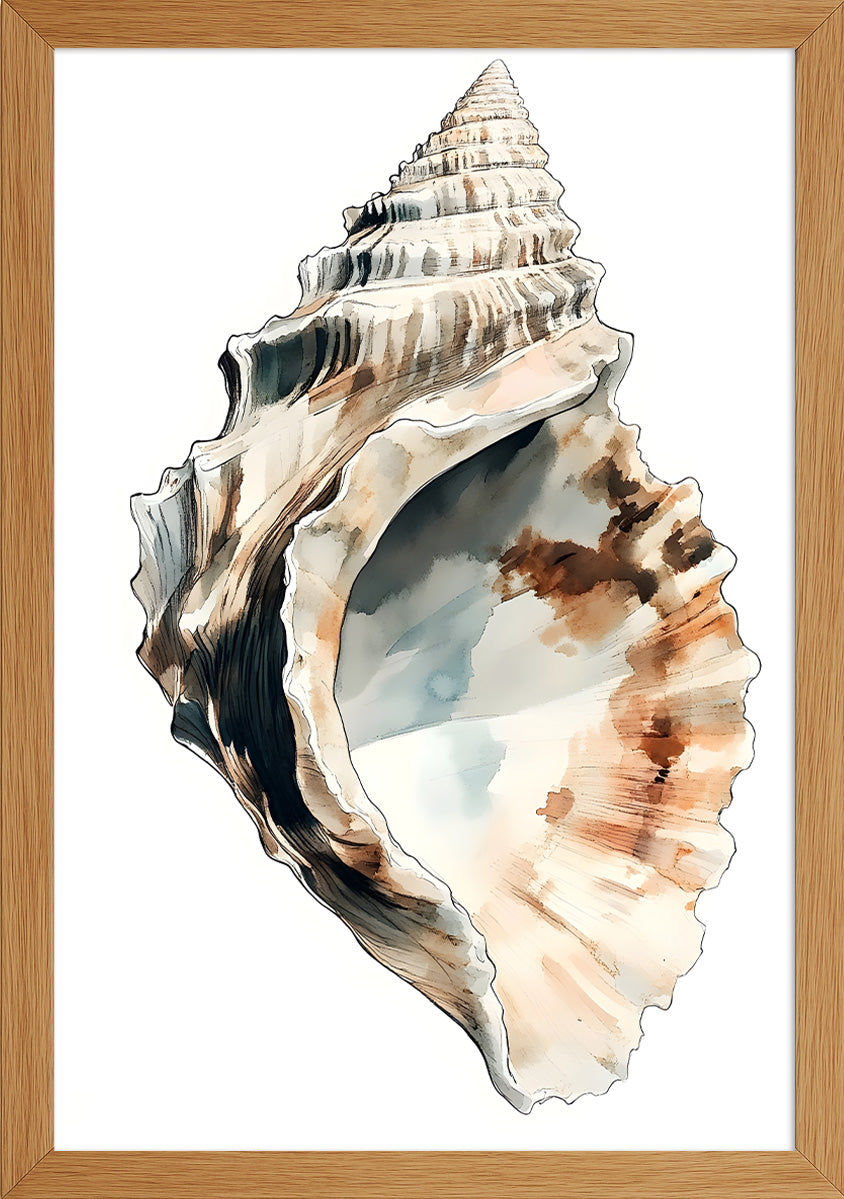 Deniz Salyangozu Posteri-4