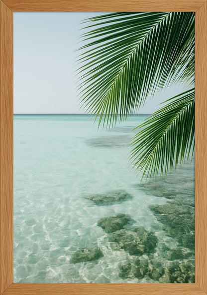 Deniz ve Palmiye Yaprakları Posteri