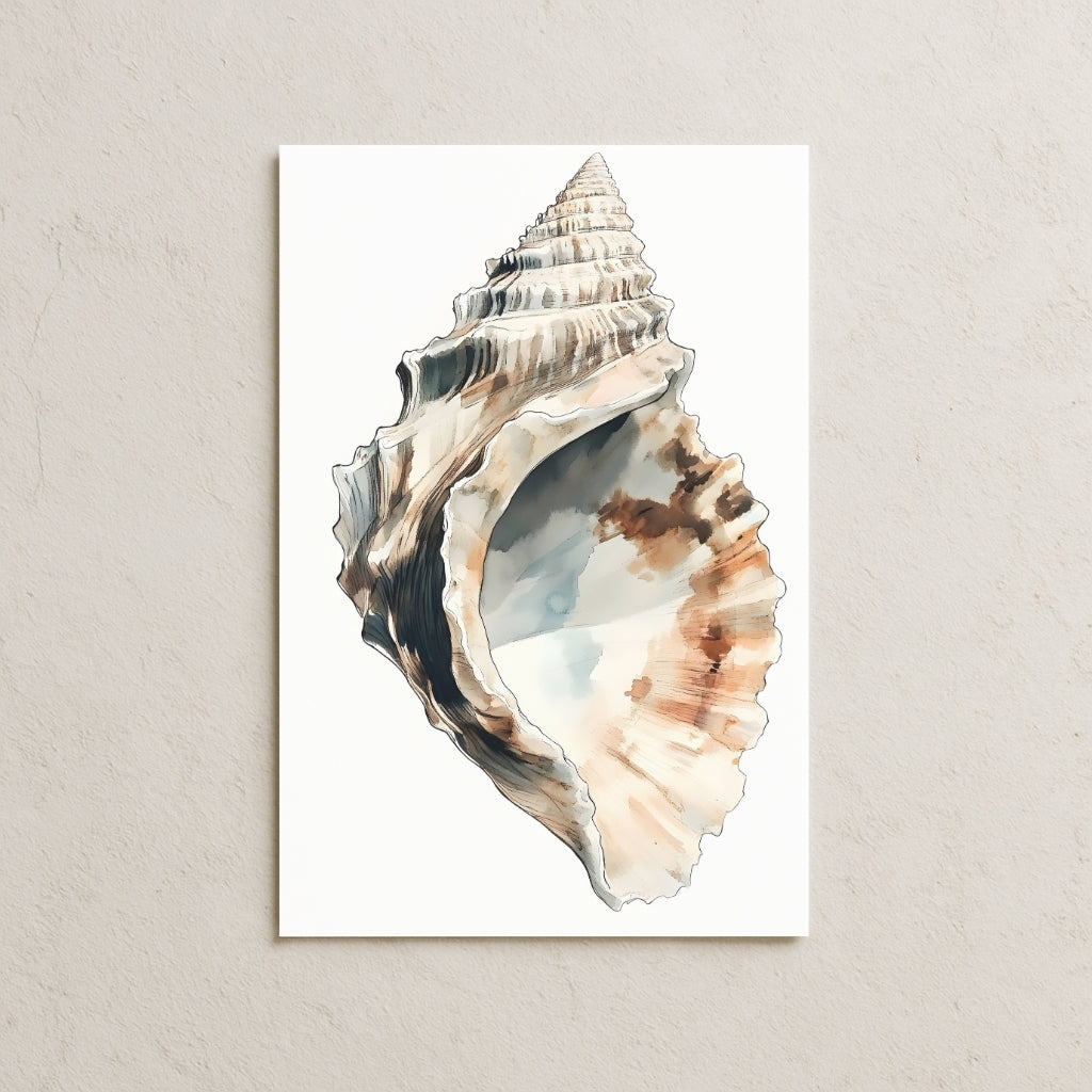 Deniz Salyangozu Posteri-4