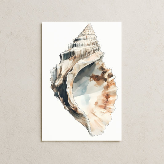 Deniz Salyangozu Posteri-4