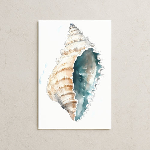 Deniz Salyangozu Posteri-3